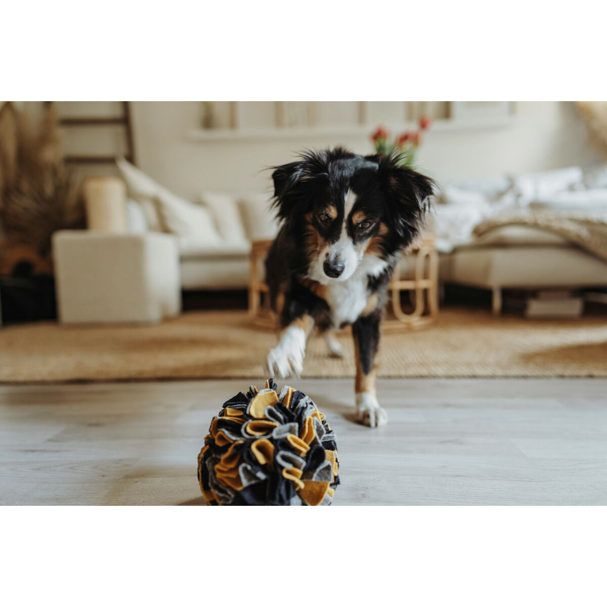Dog toy Hunter-3
