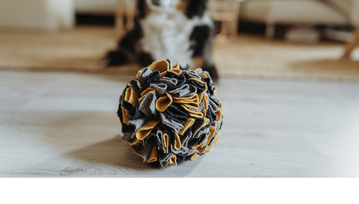 Dog toy Hunter-2